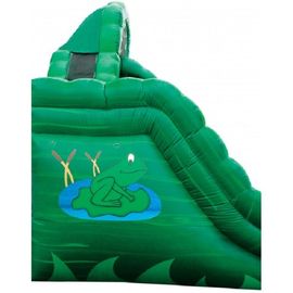 মৃৎশিল্প সবুজ ফ্রগ মজা জল স্লাইড, Inflatable ডাবল রাশ স্লিপ ভেজা স্লাইড