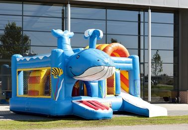 Whale Inflatable কম্বো