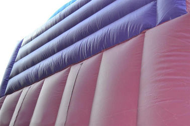 30 ফুট রাজকুমারী Inflatable শুকনো স্লাইড, Faires স্লাইড বেগুনি দৈত্য উত্সাহী স্লাইড