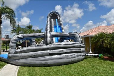 বাণিজ্যিক নীল বিশাল inflatable স্লাইড লোগো পুল সঙ্গে 24ft দ্বৈত লেন স্লাইড মুদ্রণ বন্য Rapids