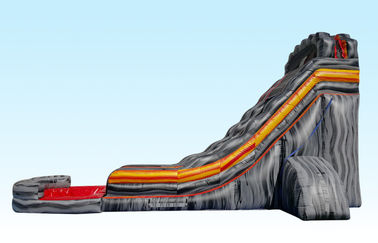 কাস্টম তৈরি গ্রে দৈত্য Inflatable স্লাইড, প্রাপ্তবয়স্কদের জন্য জল স্লাইড উজ্জ্বল