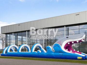 সাময়িক inflatable খেলা জন্য টেকসই প্লেটো পিভিসি Tarpaulin Inflatable জল স্লাইড