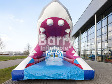 সাময়িক inflatable খেলা জন্য টেকসই প্লেটো পিভিসি Tarpaulin Inflatable জল স্লাইড