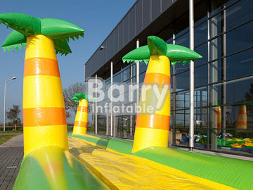 বাণিজ্যিক ইভেন্টের জন্য পিভিসি Inflatable বেলি স্লাইড জঙ্গল Inflatable স্লিপ এন স্লাইড