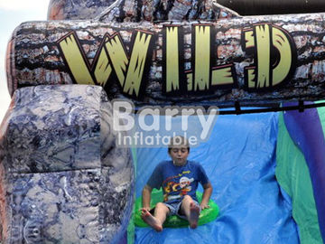 নিরাপত্তা ওয়াইল্ড Rapids সাঁতার রিং / এয়ার ব্লোয়ার সঙ্গে inflatable জল স্লাইড