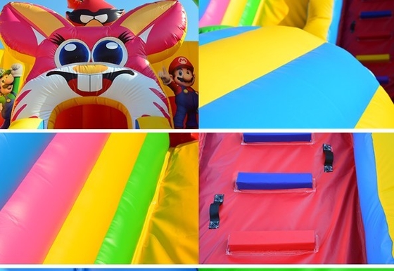 অ্যানিমেশন থিম বড় inflatable Bouncy Castle জন্মদিনের পার্টি Bounce House