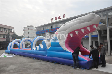 0.55 মিমি পিভিসি Tarpaulin কিডস জন্য Inflatable জল স্লাইড, কাস্টম Sharp Inflatable স্লিপ এন স্লাইড