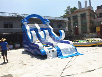 পিভিসি উপাদান সঙ্গে নীল ক্ষুদ্র Inflatable ডলফিন স্লাইড / উপরে আরোহণ ওয়াল