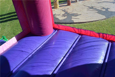 ফায়ার - প্রতিরোধী Inflatable বাউন্সার, আপ ডিজনি রাজকুমারী જમ્પિંગ কাসল