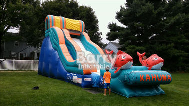 রঙিন বাণিজ্যিক Inflatable স্লাইড, পার্টি জন্য Big Kahuna Inflatable জল স্লাইড
