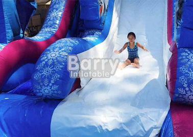 পুল / দৈত্য বিনোদন জল পার্ক খেলা সঙ্গে 0.55 মিমি পিভিসি ফ্রিজ Inflatable জল স্লাইড