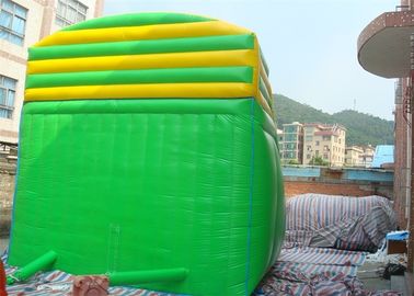 মাছ ডাবল আরোহণ সিঁড়ি বয়স্কদের জন্য বাণিজ্যিক Inflatable স্লাইড