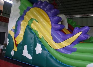 টেকসই প্লেটো পিভিসি Tarpaulin সঙ্গে ড্রাগন Trippo বাণিজ্যিক Inflatable স্লাইড