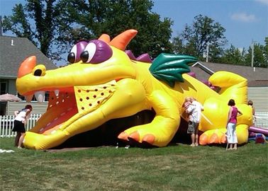 টেকসই খালেদা বাণিজ্যিক Inflatable স্লাইড, বাজানো জন্য সস্তা Inflatable কুমির স্লাইড