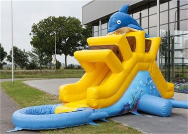 মিনি Inflatable জল স্লাইড, কিডস জন্য Inflatable ওয়াটার જમ્પિંગ কাস্টস স্লাইড