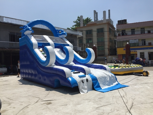 বাণিজ্যিক Inflatable জল স্লাইড বিনোদন Inflatable বাউন্সার দুর্গ