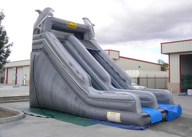 ডবল স্লাইড ওয়ে বাণিজ্যিক Inflatable স্লাইড গ্রে পিভিসি বাইরে