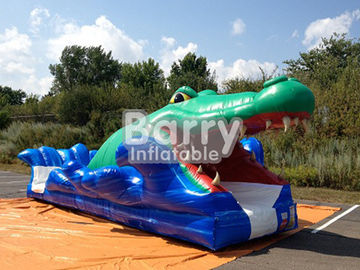 বিস্ময়কর বহিরঙ্গন খেলা Pvc ছোট শার্প Tarpaulin কিডস জন্য Inflatable স্লিপ এন স্লাইড