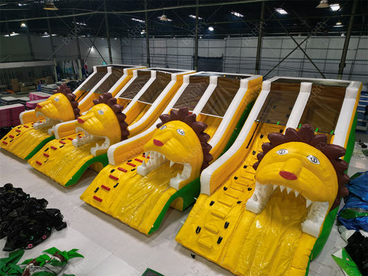 গুণমান নিশ্চিতকরণ সিংহ ইনফ্ল্যাটেবল পুল স্লাইড, ইনফ্ল্যাটেবল ওয়াটার স্লাইড ইনগ্রাউন্ড পুলের জন্য