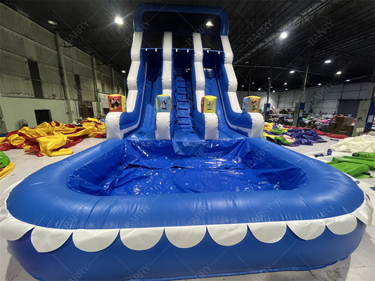 বিনোদন পার্ক আউটডোর বাগান বড় বাচ্চাদের জন্য ইনফ্ল্যাটেবল ডাবল ওয়াটার স্লাইড, টিনএজারদের বাড়ির উঠোনে ব্যবহারের জন্য