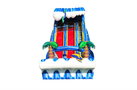 বাণিজ্যিক গ্রেড বৃহৎ আউটডোর ব্যাকইয়ার্ড 24 ফুট শার্ক দৃশ্যমান ডুয়াল লেন স্লাইড বাচ্চাদের এবং প্রাপ্তবয়স্কদের জন্য