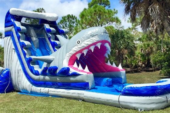 Indoor Outdoor Castillo Inflable Bouncer Shark Theme Slide With Pool Inflatable Water Double Slides For Kids