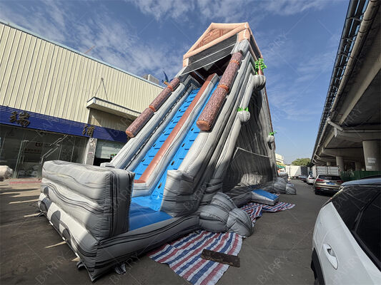 বাণিজ্যিক গ্রেড দৈত্য inflatable জল স্লাইড, অ্যামুয়েশন পার্ক এবং উৎসবের জন্য গ্রীষ্মীয় থিমযুক্ত ডুয়াল লেন ভিজা / শুকনো স্লাইড