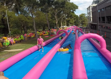 গোলাপী বিশাল বাণিজ্যিক Inflatable স্লিপ এবং স্লাইড ডাবল লেন