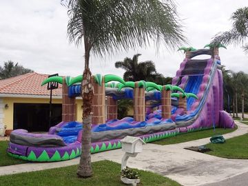 পুল / প্রাপ্তবয়স্ক Inflatable ভেজা স্লাইড সঙ্গে বেগুনি জান্নাতে Inflatable জল স্লাইড