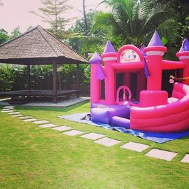 গোলাপী রাজকুমারী Inflatable বাউন্সী কাসল, গার্লস পার্টি জন্য inflatable জাম্পিং কাসল