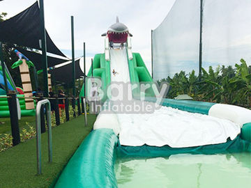 পেশাদার হিপ্পো জায়ান্ট ইনফ্ল্যাটেবল ওয়াটার স্লাইডটি ওয়াটার পুলের সাথে কাস্টমাইজড আকার