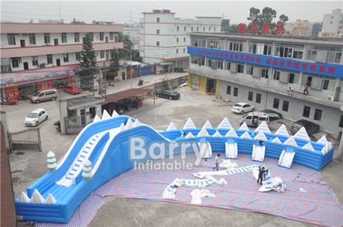 কাস্টমাইজড Seals দাঁত Inflatable স্লিপ এন স্লাইড গ্রীষ্ম জল স্লাইড উজ্জ্বল