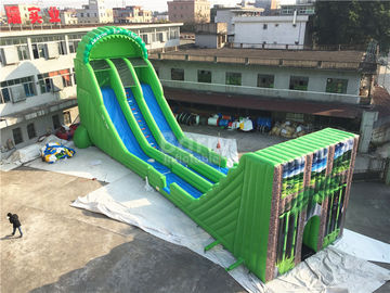 প্রাপ্তবয়স্কদের জন্য গ্র্যান্ট রঙিন দৈত্য Inflatable জিপ লাইন স্লাইড