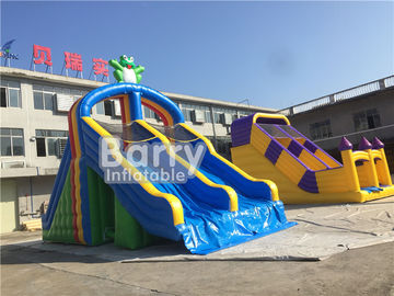 সুইমিং পুল জন্য পিভিসি Tarpaulin ডবল লেন্স Inflatable জল স্লাইড Frog