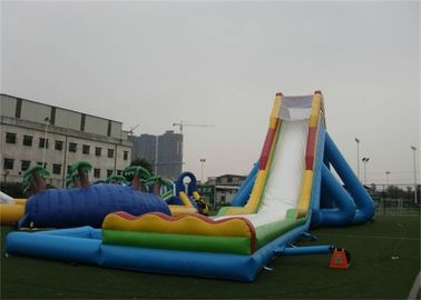 বহিরঙ্গন দৈত্য Hippo Inflatable জল স্লাইড এবং প্রাপ্তবয়স্কদের জন্য পুল
